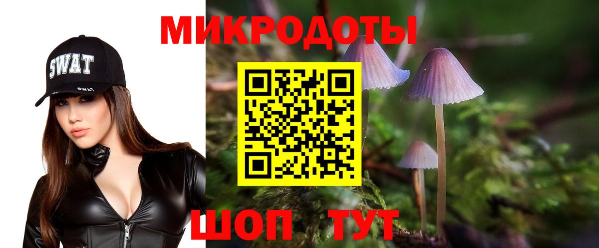 Псилоцибиновые грибы мицелий Родники