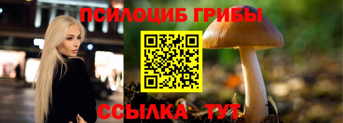 Родники  Галлюциногенные грибы MAGIC MUSHROOMS  Вход с VPN 